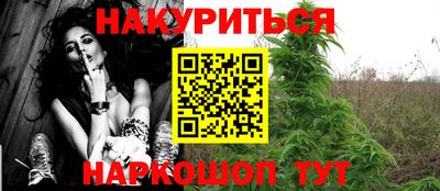 гашик Тара