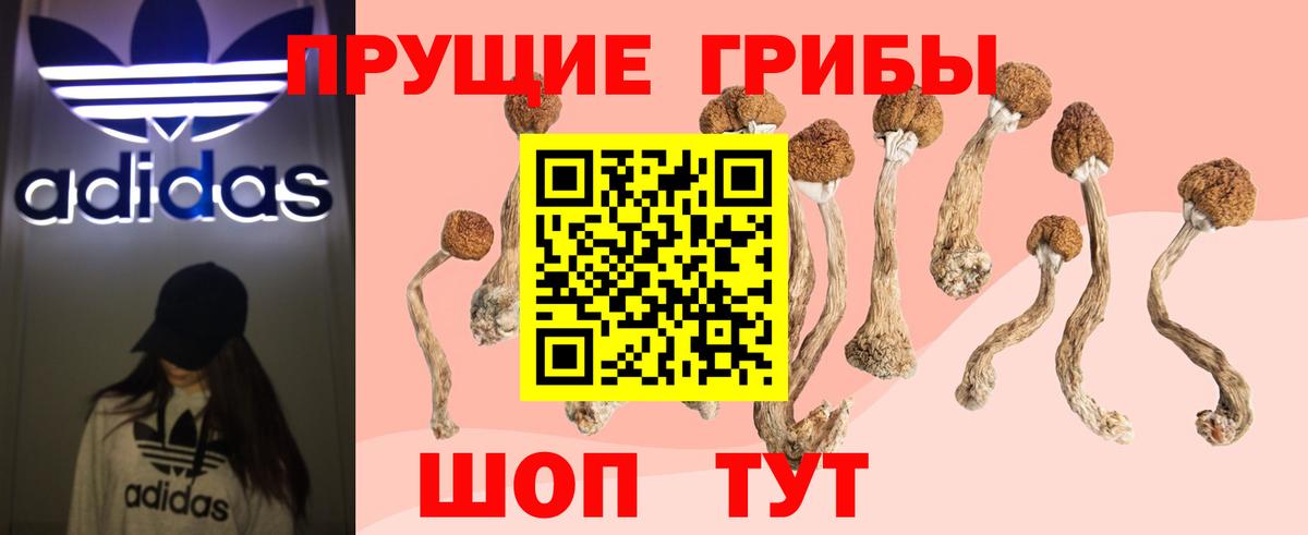 Михайловск  сколько стоит  Вход с VPN  Псилоцибиновые грибы мухоморы 